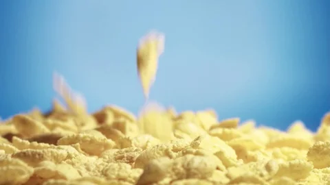 Corn cereals falling on a hip on blue ba... | Stock Video | Pond5