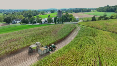 Corn Chopper in Scenic Lancaster County Stock Footage 212124076