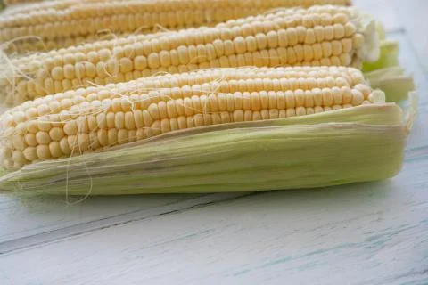 Corn close up. Close-up raw corn for advertising, discount, email distributio Stock Photos