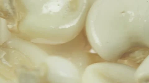 Corn close-up Video stock 10797382