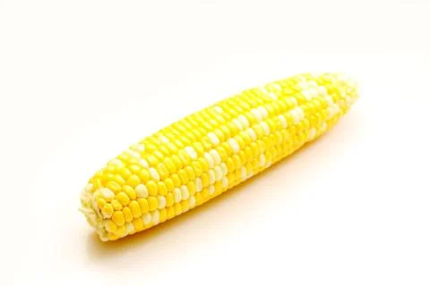 Corn close-up. Stock Photos
