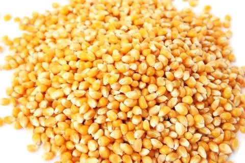 Corn close up picture Foto stock