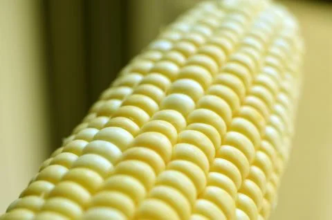 Corn on the Cob 1 Stock Photos