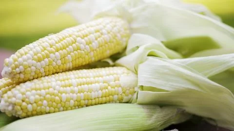 Corn on the cob 1 Stock Photos