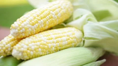 Corn on the cob 2 Stock Photos