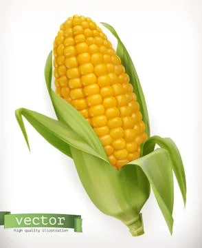 Corn cob. 3d vector icon Stock Illustration