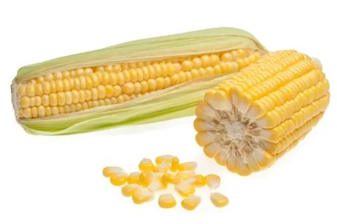 Corn cob and grains Stock Photos