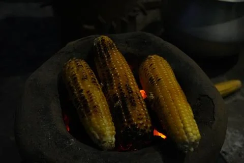 Corn on the cob are being roasted over glowing red embers in a traditional Stock Photos