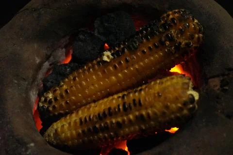 Corn on the cob are being roasted over glowing red embers in a traditional Stock Photos