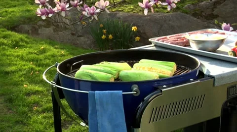 Corn on the cob on a barbecue Video stock 8572315