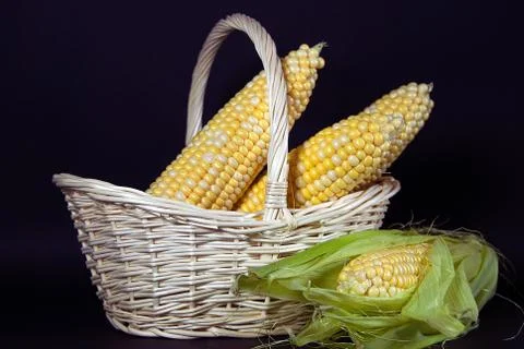 Corn on the cob in basket Stock Photos