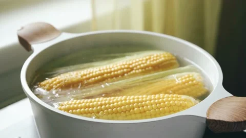 Corn on the cob boiling in a pot Stock Footage 162570209