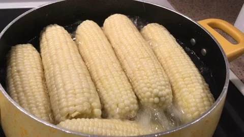 Corn on the cob boiling on stovetop Stock Footage 136925011