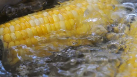 Corn cob boiling in water, cooking process montage Stock Footage 305808391