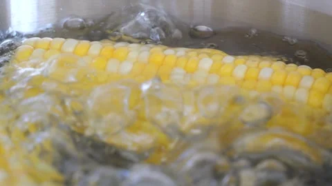 Corn cob boiling in water, cooking process Stock Footage 305808500