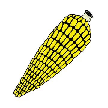 Corn cob clipart isolated on white background Stock Illustration