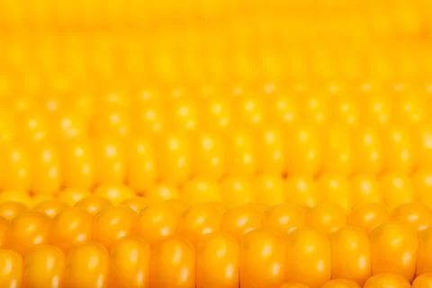 Corn on the cob close up background image Stock Photos