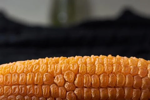 Corn cob close-up, bright yellow corn kernels delicious food Stock Photos