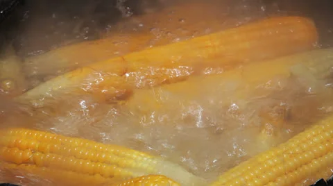 Corn on the cob cooked in boiling water Stock Footage 24985746