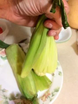 Corn on the cob cooked Stock Photos