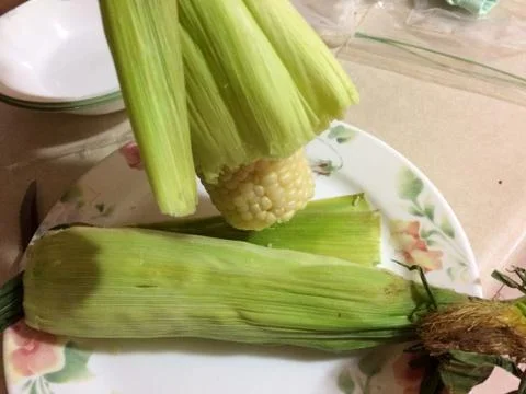 Corn on the cob cooked Stock Photos