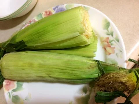 Corn on the cob cooked Stock Photos