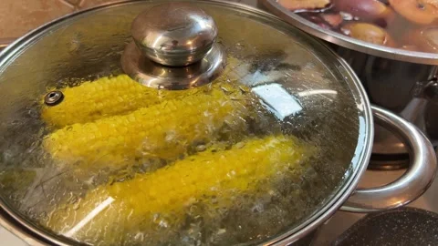 Corn on the cob is cooking in a pot with water and a glass lid Vídeos de archivo 270325728