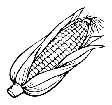 Corn on the cob. Corn icon. Vegetables. Fresh food. Hand drawn Corn.  Stock Illustration