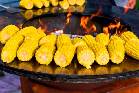 Corn on the cob on the fire ring grilled with open fire deliciously crispy Stock Photos