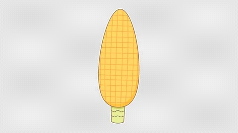 Corn cob Stock Footage 338396931