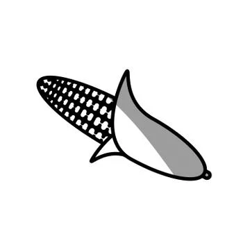 Corn cob grain picnic shadow Stock Illustration