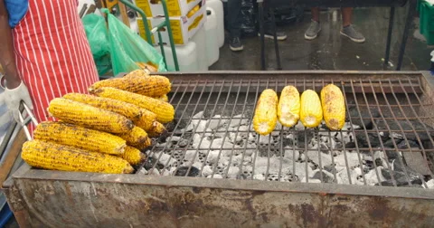 Corn on the cob grilled Stock Footage 67109480