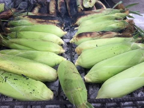 Corn on the Cob grilling on a Grill Stock Photos