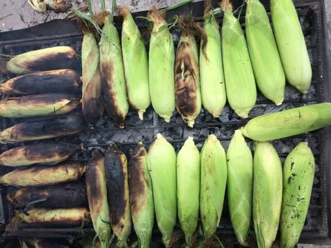 Corn on the Cob grilling on a Grill Stock Photos