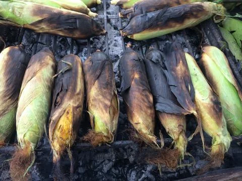 Corn on the Cob grilling on a Grill Stock Photos