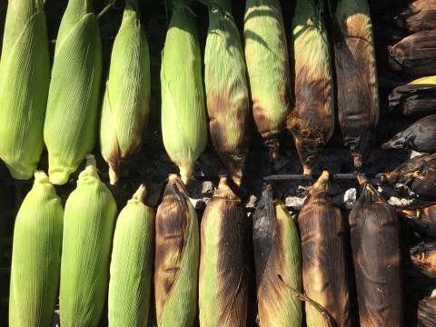 Corn on the Cob grilling on a Grill Stock Photos