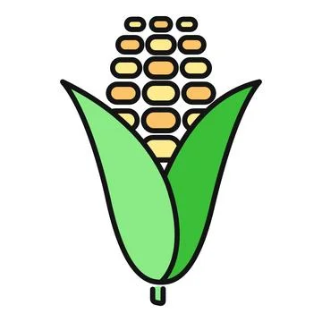 Corn cob with husk showing kernels flat icon Stock Illustration