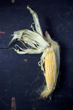 Corn on the cob with husks Stock Photos