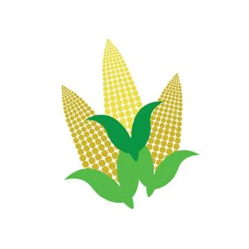 Corn on the cob Stock Illustration