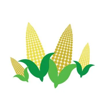 Corn on the cob Stock Illustration
