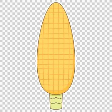 Corn cob Stock Illustration