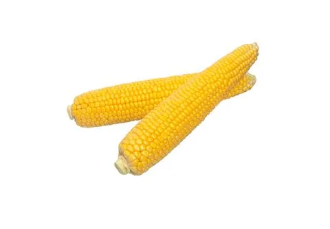 Corn cob isolated.  Sweet corn. Stock Photos