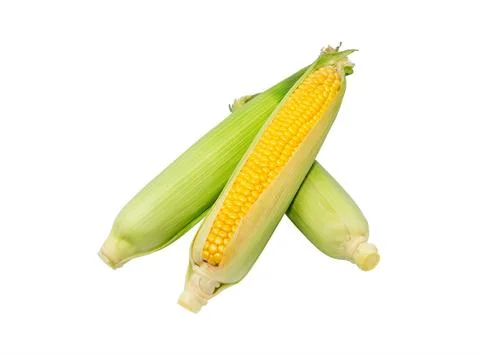 Corn cob isolated.  Sweet corn. Stock Photos