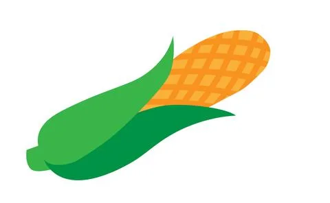 Corn on the Cob isolated on white background EPS 10. Stock Illustration