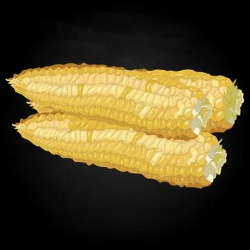 Corn on the cob kernels Illustrazione stock