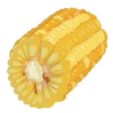 Corn on the cob kernels isolated Stock Illustration
