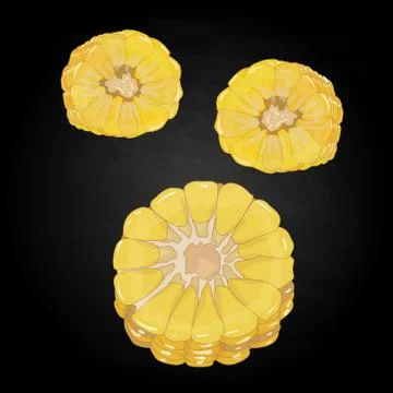 Corn on the cob kernels isolated Illustrazione stock
