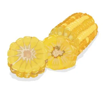 Corn on the cob kernels isolated Stock Illustration