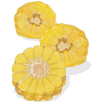 Corn on the cob kernels isolated Illustrazione stock