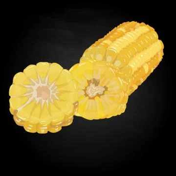 Corn on the cob kernels isolated Stock Illustration
